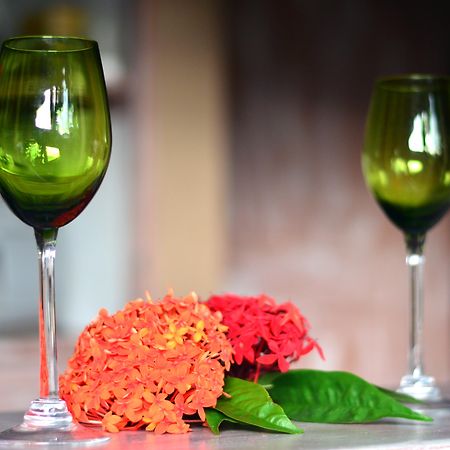 Cosy Guest House Sous Le Badamier Гранд-Бэй Экстерьер фото